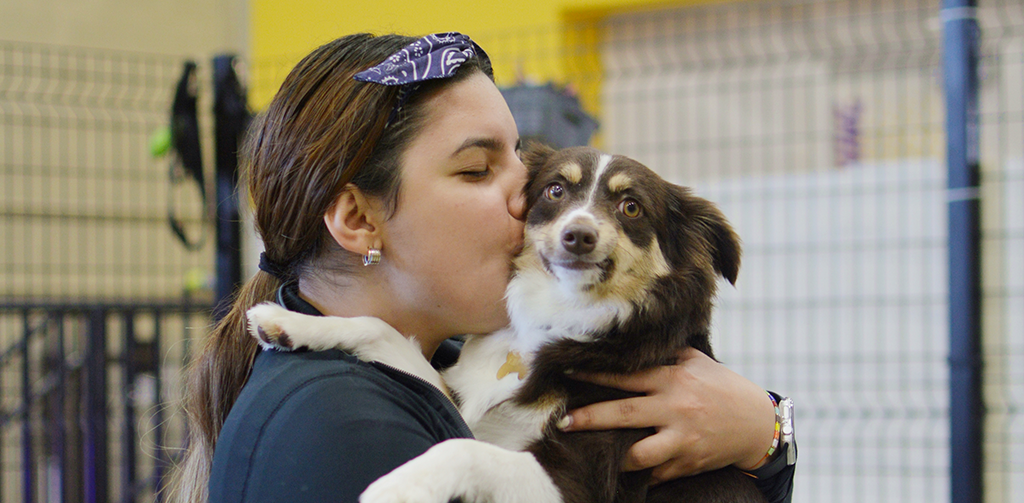 At bark Square all the staff, in addition to being knowledgeable about dogs, are very affectionate with them.