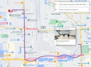 Bark Square location map Doral Miami