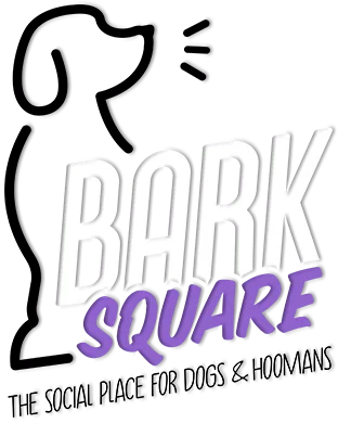 Bark Square dog hotel in Doral Miami